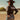 Rodeo Queen